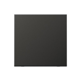 Jung AL2990AN Wippe f. Schalter/Taster - anthrazit (lackiertes Aluminium)