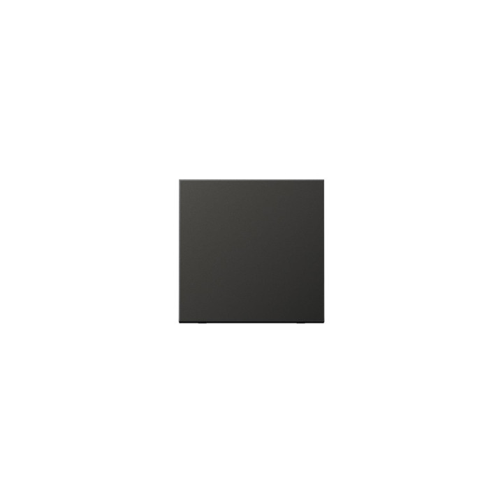 Jung AL2990AN Wippe f. Schalter/Taster — antrazits (lackiertes aluminium)