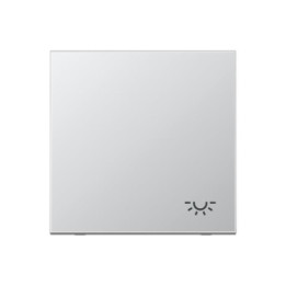 Jung AL2990L Wippe m. Symbol "Licht" - Aluminium