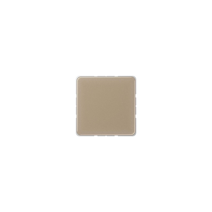 Jung CD594-0GB Blind-Abdeckung - gold-bronze