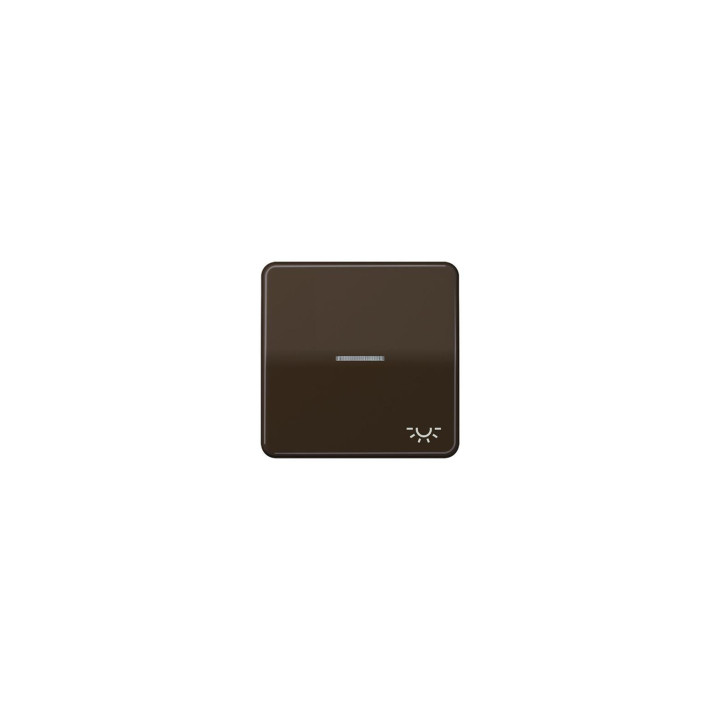 Jung CD590KO5LBR Wippe m. Symbol "Licht" KO - braun