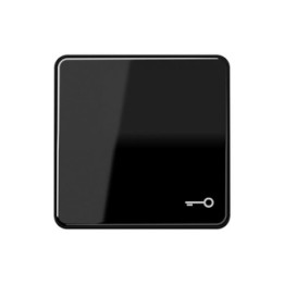 Jung CD590TSW Wippe m. Symbol "Tuer" - schwarz