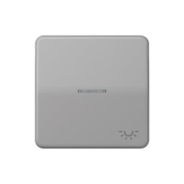 Jung CD590KO5LGR Wippe m. Symbol "Licht" KO - grau