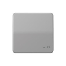 Jung CD590TGR Wippe m. Symboli "Tuer" - grau