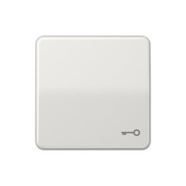 Jung CD590TLG Wippe m. Symbol "Tuer" - lichtgrau