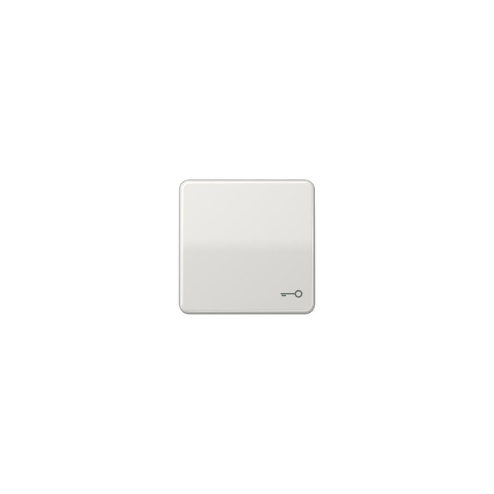 Jung CD590TLG Wippe m. Symbol "Tuer" - lichtgrau