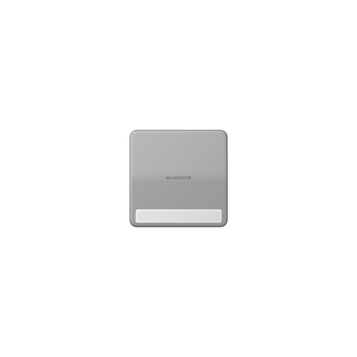 Jung CD590NAKO5GR Wippe f. Schalter/Taster NA KO - grau