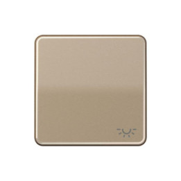 Jung CD590LGB Wippe m. Symbol "Licht" - gold-bronze