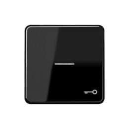Jung CD590KO5TSW Wippe m. Symbol "Tuer" KO - schwarz