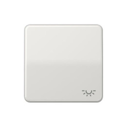 Jung CD590LLG Wippe m. Symbol "Licht" - lichtgrau
