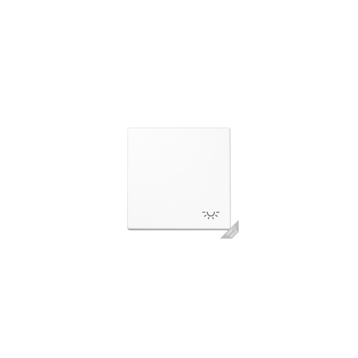 Jung LS990LLG Wippe m. Symbol "Licht" - lichtgrau