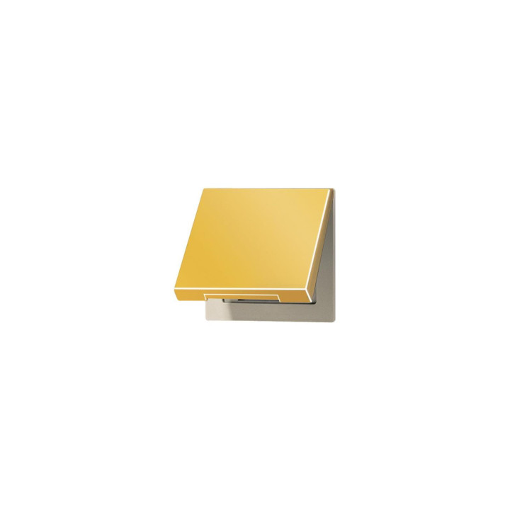 Jung GO2990KL Klappdeckel - goldfarben