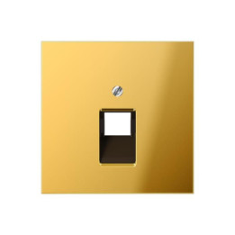 Jung GO2969-1UA Abdeckung f. IAE/UAE-Anschlussdose - goldfarben