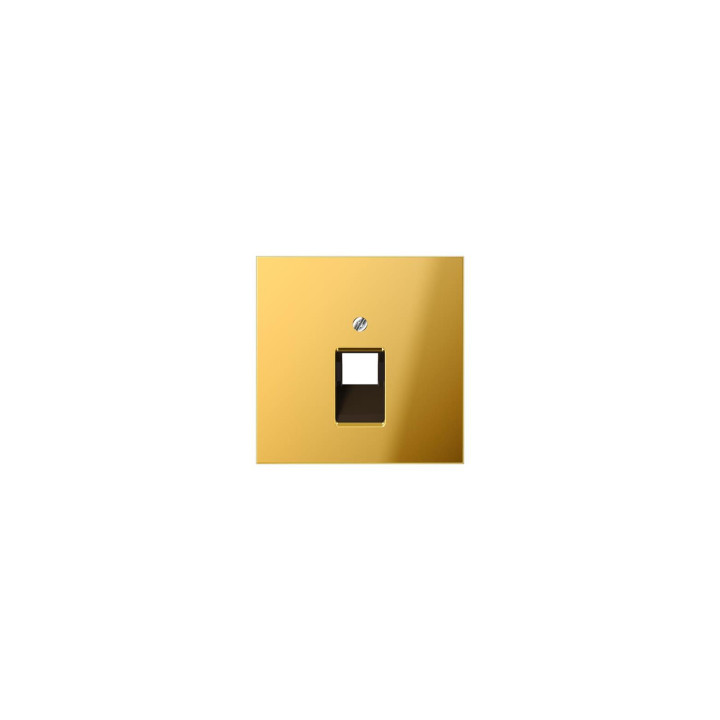 Jung GO2969-1UA Abdeckung f. IAE/UAE-Anschlussdose - goldfarben