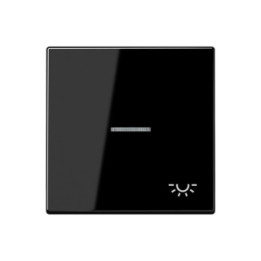 Jung LS990KO5LSW Wippe m. Symbol "Licht" KO - schwarz