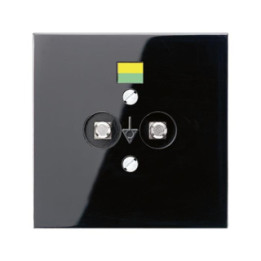 Jung LS965-2SW Potentialausgleich-Steckdose - schwarz