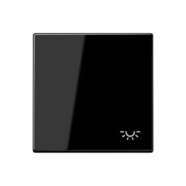 Jung LS990LSW Wippe m. Symbol "Licht" - schwarz