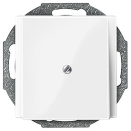 Merten 296319 Zentralplatte Leitungsauslass, polarweiß glänzend, System M