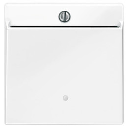 Merten 315619 Card-Schalter, polarweiß glänzend, System M