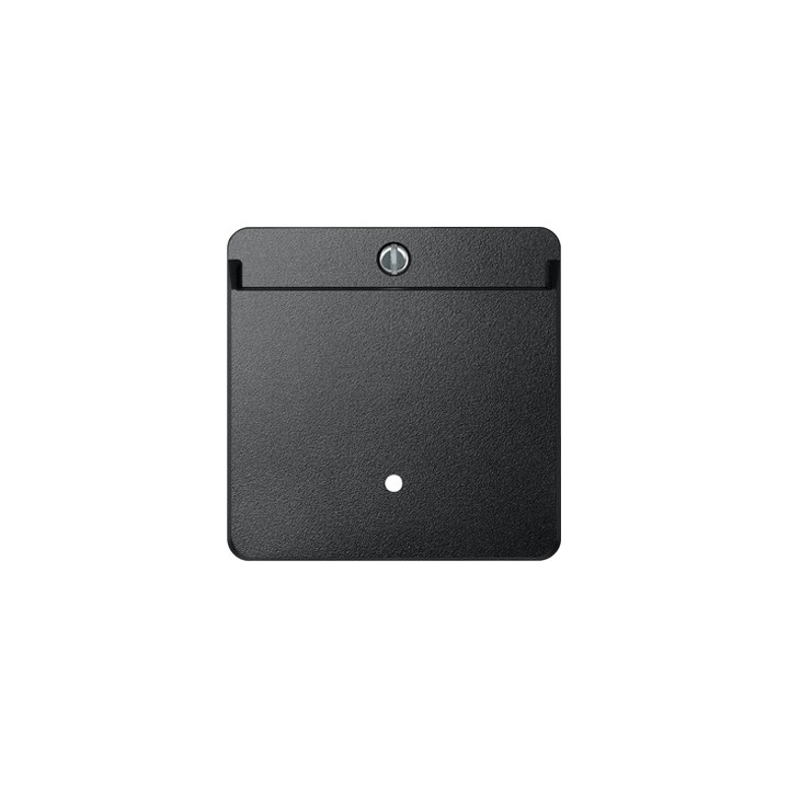 Merten 315414 Card-Schalter, anthrazit, System M