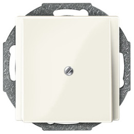 Merten 296344 Zentralplatte Leitungsauslass, weiß glänzend, System M