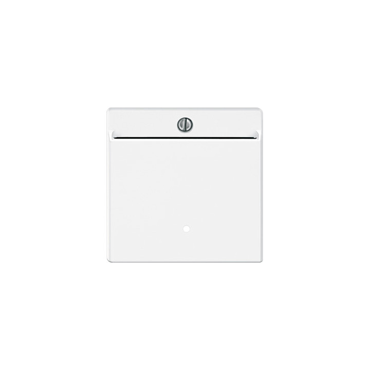 Merten 315419 Card-Schalter, polarweiß, System M