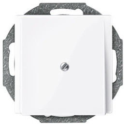 Merten 296325 Zentralplatte Leitungsauslass, aktivweiß glänzend, System M