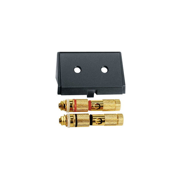 Merten 464387 Einschub m. High-End Lautsprecher-Steckverbinder, schwarz, System M, Sys. Fläche