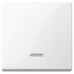 Merten 436019 Wippe mit Kontrollfenster, polarweiß glänzend, System M