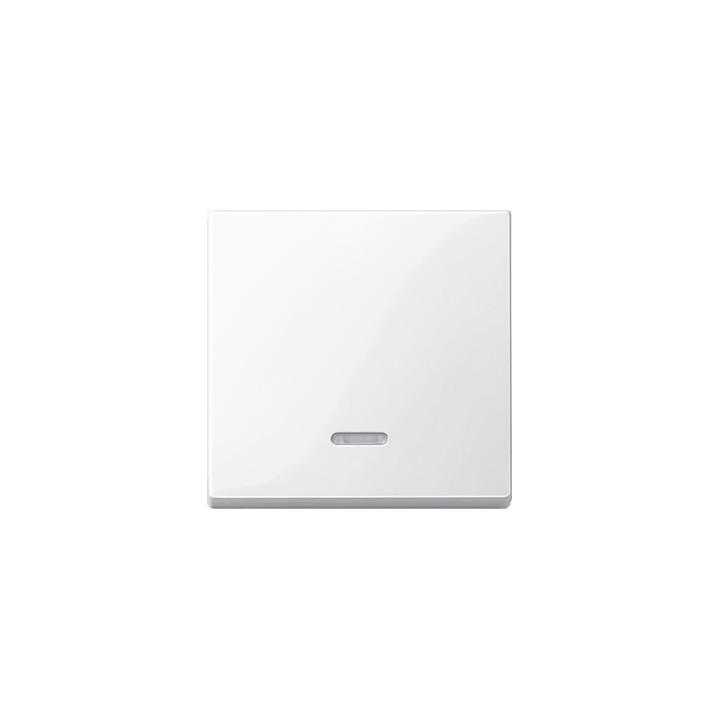 Merten 436019 Wippe mit Kontrollfenster, polarweiß glänzend, System M