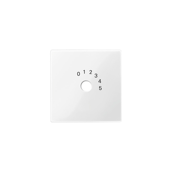 Merten 452019 Zentralplatte für Programmwahlschalter, polarweiß glänzend, System M
