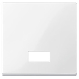 Merten 432819 Wippe mit rechteckigem Symbolfenster, polarweiß glänzend, System M