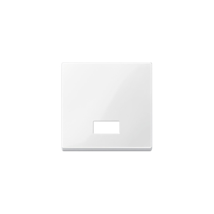Merten 432819 Wippe mit rechteckigem Symbolfenster, polarweiß glänzend, System M