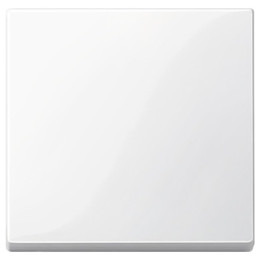 Merten 432119 Wippe, polarweiß glänzend, System M