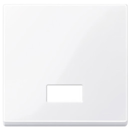 Merten 432825 Wippe mit rechteckigem Symbolfenster, aktivweiß glänzend, System M