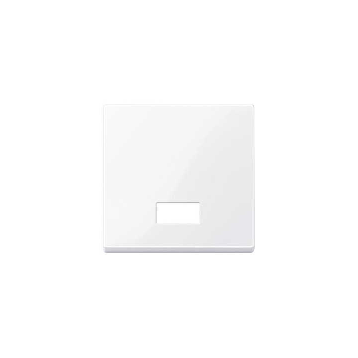 Merten 432825 Wippe mit rechteckigem Symbolfenster, aktivweiß glänzend, System M