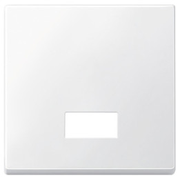 Merten 433819 Wippe mit rechteckigem Symbolfenster, polarweiß, System M