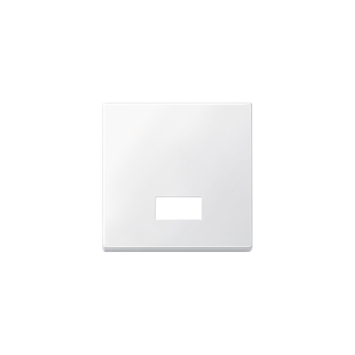Merten 433819 Wippe mit rechteckigem Symbolfenster, polarweiß, System M