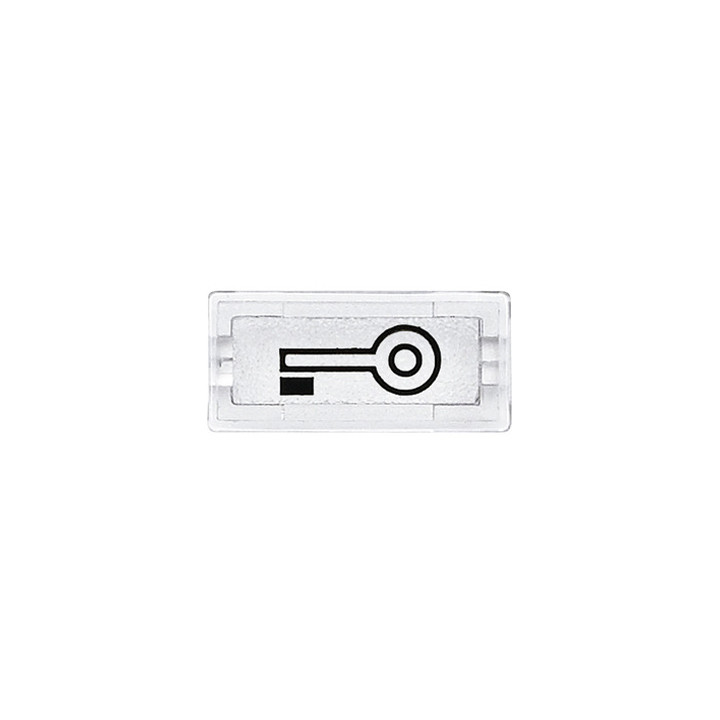 Merten 395769 Symbole, rechteckig, Schlüssel, glasklar
