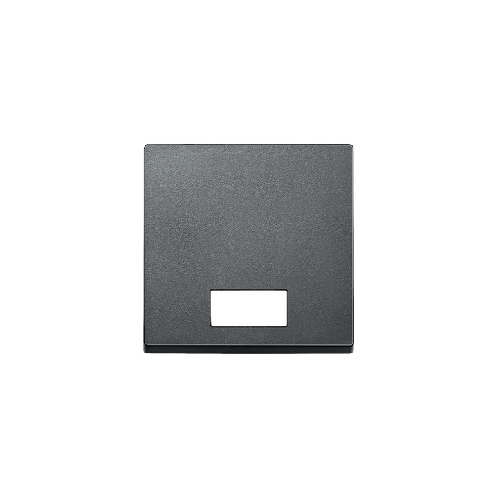 Merten 433814 Wippe mit rechteckigem Symbolfenster, anthrazit, System M