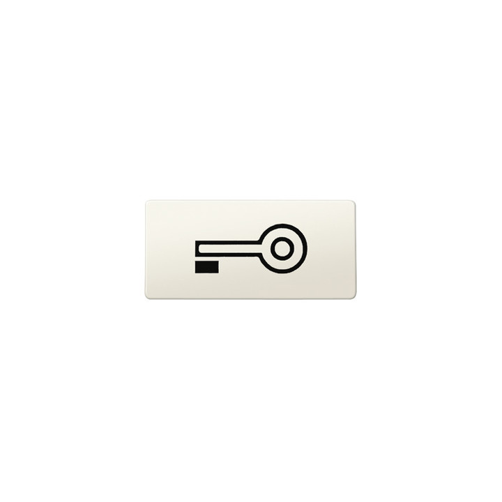 Merten 395700 Symbole, rechteckig, Schlüssel, weiß