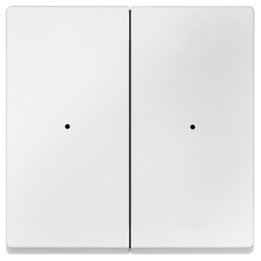 Merten 625219 Wippen für Tastermodul 2fach, polarweiß, System M