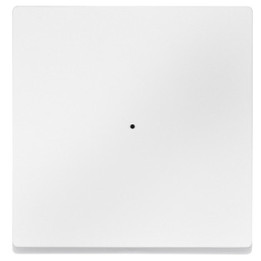 Merten 625119 Wippe für Tastermodul 1fach, polarweiß, System M