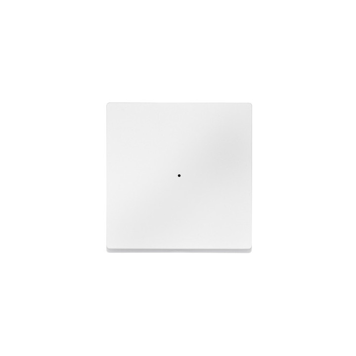 Merten 625119 Wippe für Tastermodul 1fach, polarweiß, System M