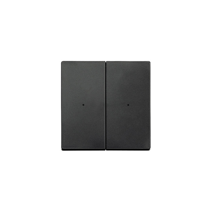 Merten 625214 Wippen für Tastermodul 2fach, anthrazit, System M