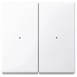 Merten 619225 Wippen für Tastermodul 2fach, aktivweiß glänzend, System M