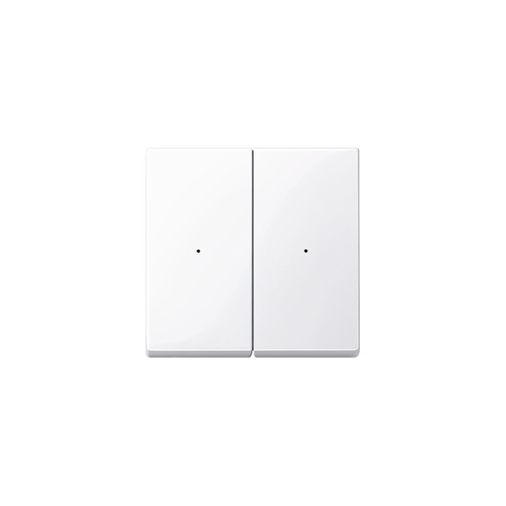 Merten 619225 Wippen für Tastermodul 2fach, aktivweiß glänzend, System M