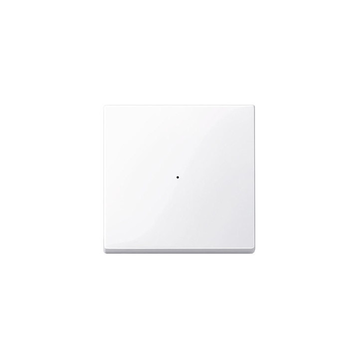 Merten 619125 Wippe für Tastermodul 1fach, aktivweiß glänzend, System M
