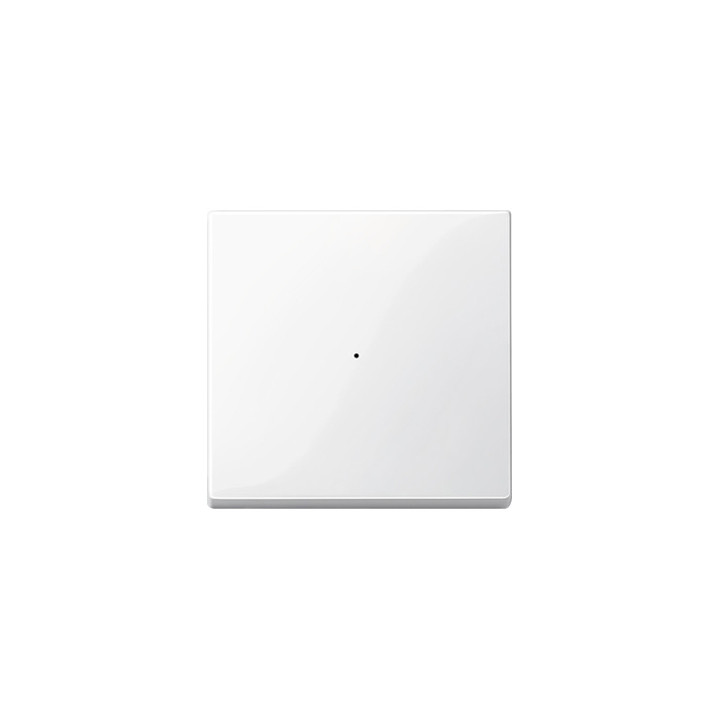 Merten 619119 Wippe für Tastermodul 1fach, polarweiß glänzend, System M