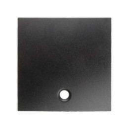 Berker 11461606 Zentralstück für Zugschalter und Zugtaster Berker B.1/B.3/B.7 Glas